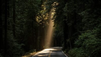 DBT and MBT for BPD with comorbid depression and/or anxiety